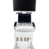 DiagnosisCo GE Vivid S70N